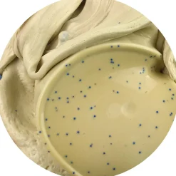 Blueberry Pancake Batter