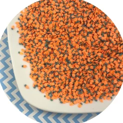 Carrot Fimo Slices