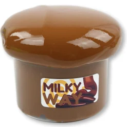 Milky Way