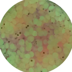 Nebula - GLOW IN THE DARK!