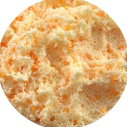 Orange Delight