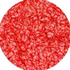 Strawberry Fimo Slices V2