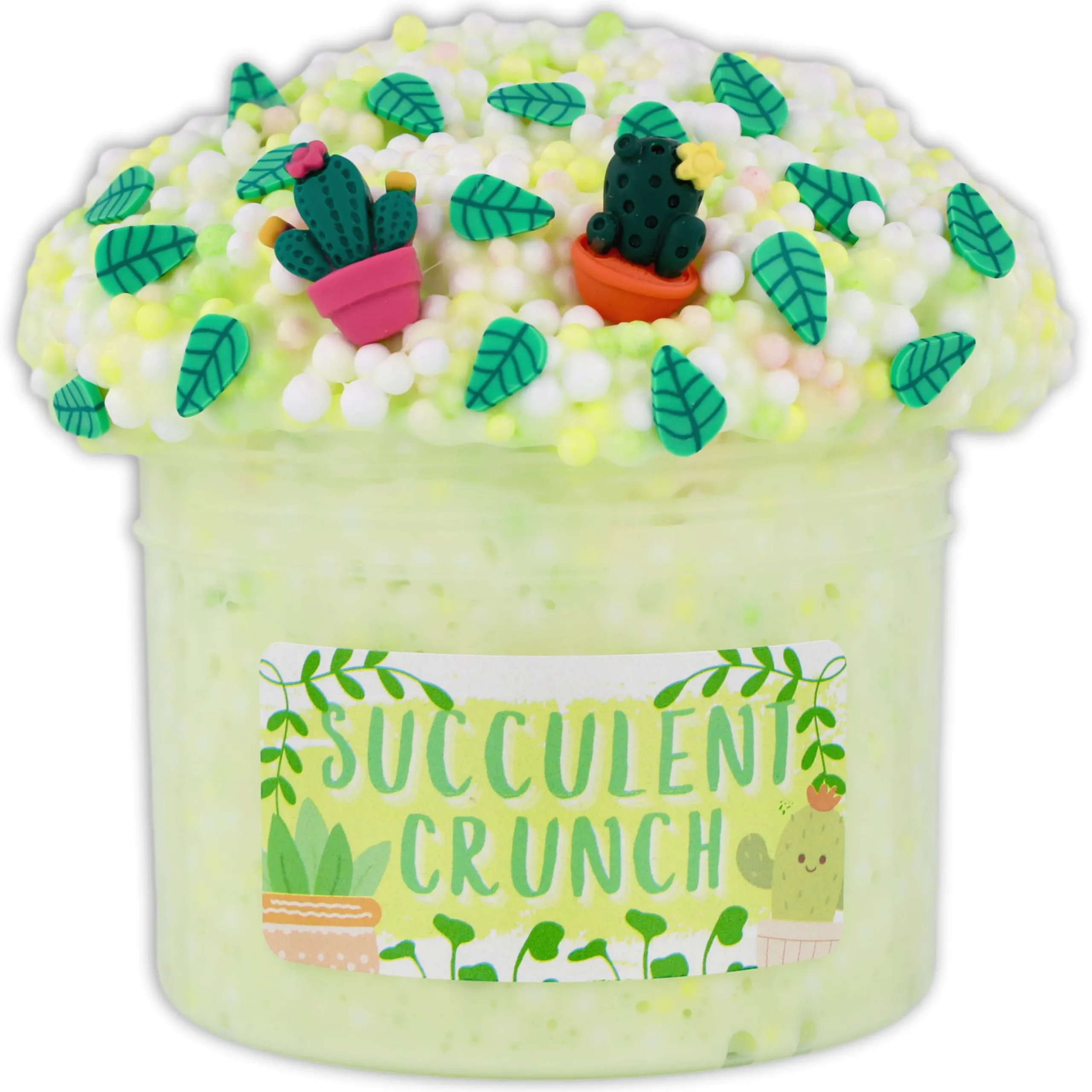 Succulent Crunch